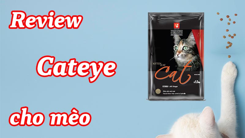 Review Cateye