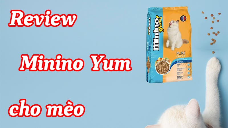 Review Minino Yum