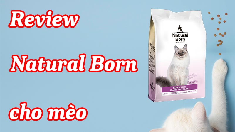 Review Natural Born