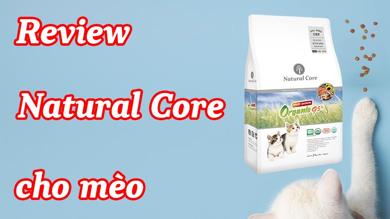 Review Natural Core