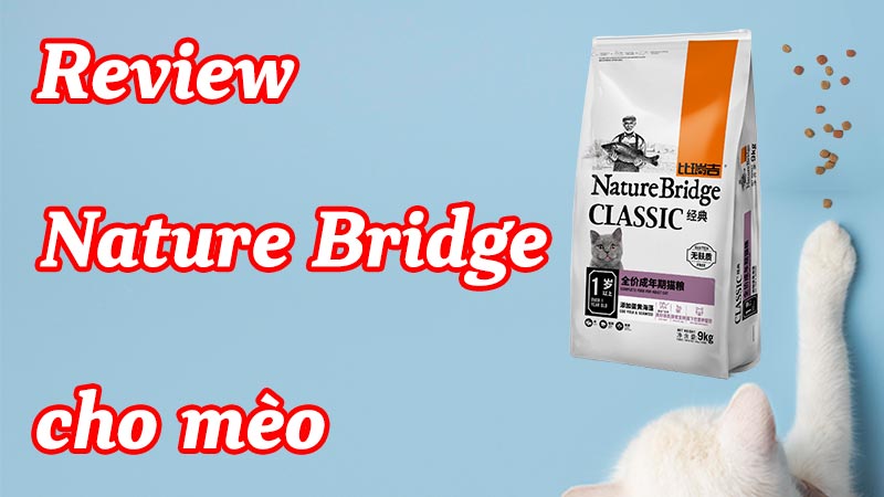 Review Nature-Bridge