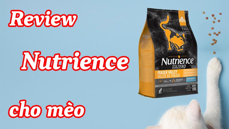 Review Nutrience