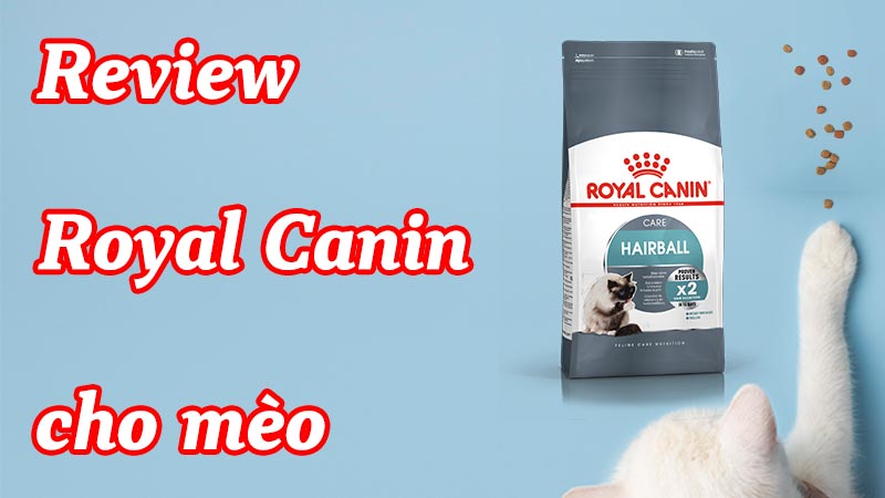 Review Royal Canin